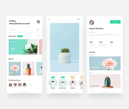 Mobile App Design